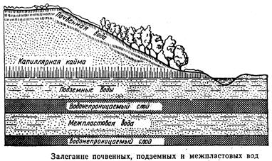 Дислокации (в зависимости от вида тектонических движений) - student2.ru