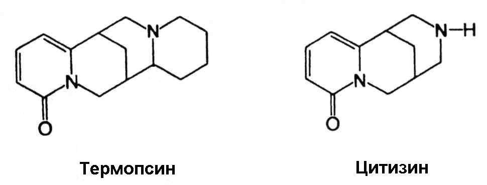 Другие названия: мышатник, пьяная трава - student2.ru