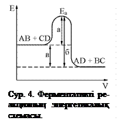 Ферменттік катализдің теориялық негіздері - student2.ru