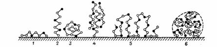 Физико-химия поверхностных явлений при адсорбции полимеров на твердой поверхности - student2.ru