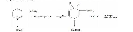 Гидролиз и компоненты нуклеиновых кислот - student2.ru