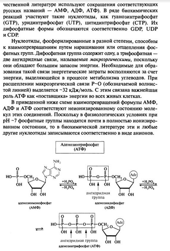 Гидролиз и компоненты нуклеиновых кислот - student2.ru