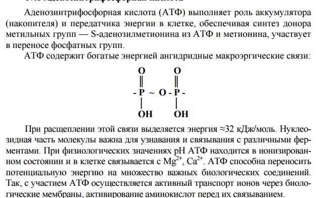 Гидролиз и компоненты нуклеиновых кислот - student2.ru