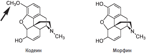 Глава 13 Морфин, никотин и кофеин - student2.ru