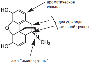 Глава 13 Морфин, никотин и кофеин - student2.ru