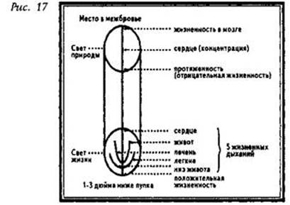 глава vii. держаться центра для осуществления единства неба и земли - student2.ru