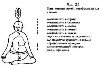 глава viii. погружение духа в полость нижнего дань тяня - student2.ru