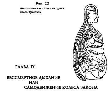 глава viii. погружение духа в полость нижнего дань тяня - student2.ru