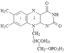 I.2.Флавиновые дегидрогеназы - student2.ru