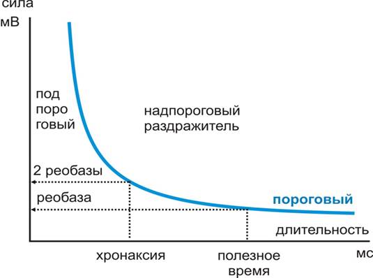 Характеристика нервных волокон по Эрлангеру-Гассеру - student2.ru