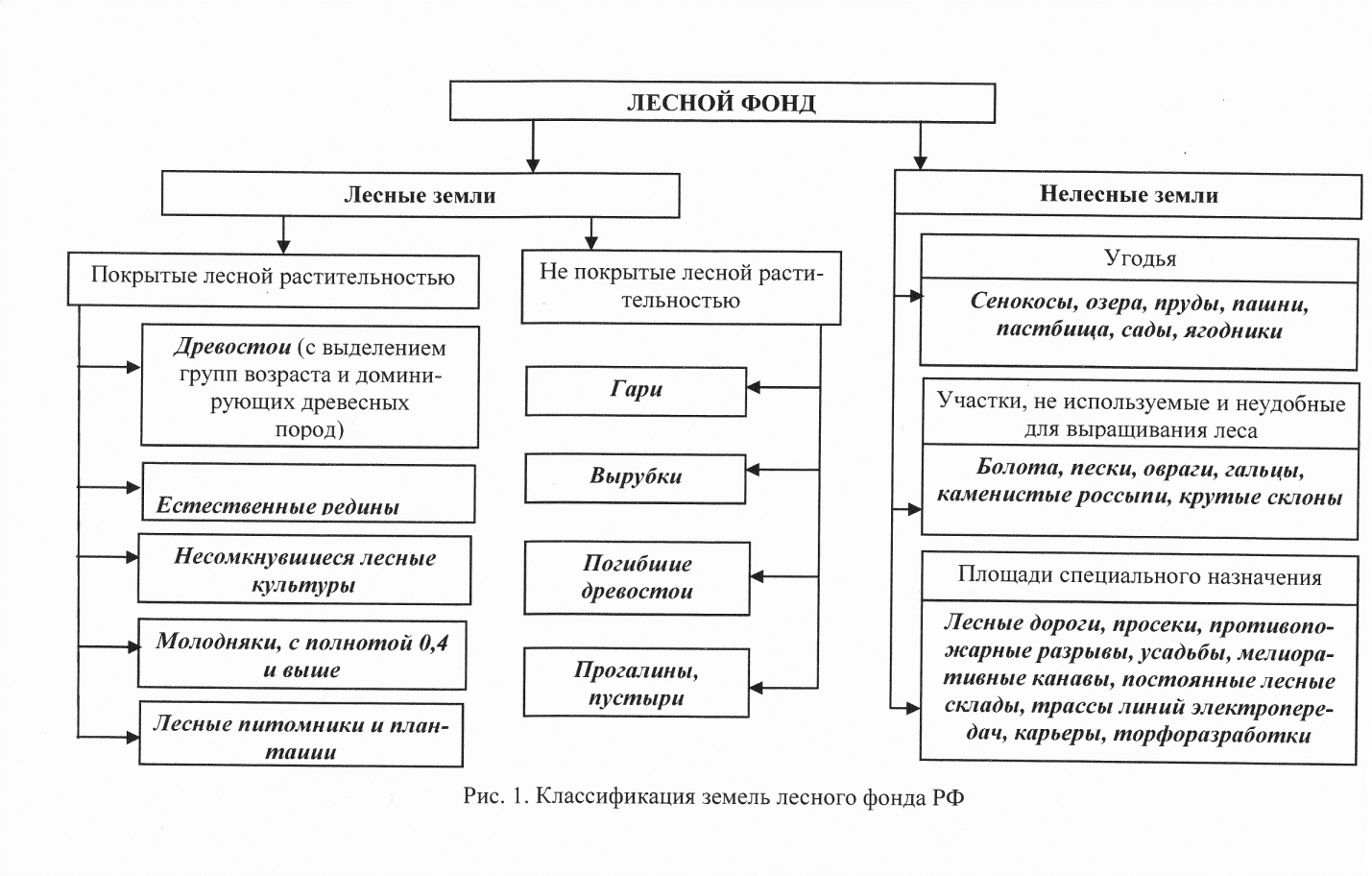 Характеристика земель лесного фонда в РФ - student2.ru