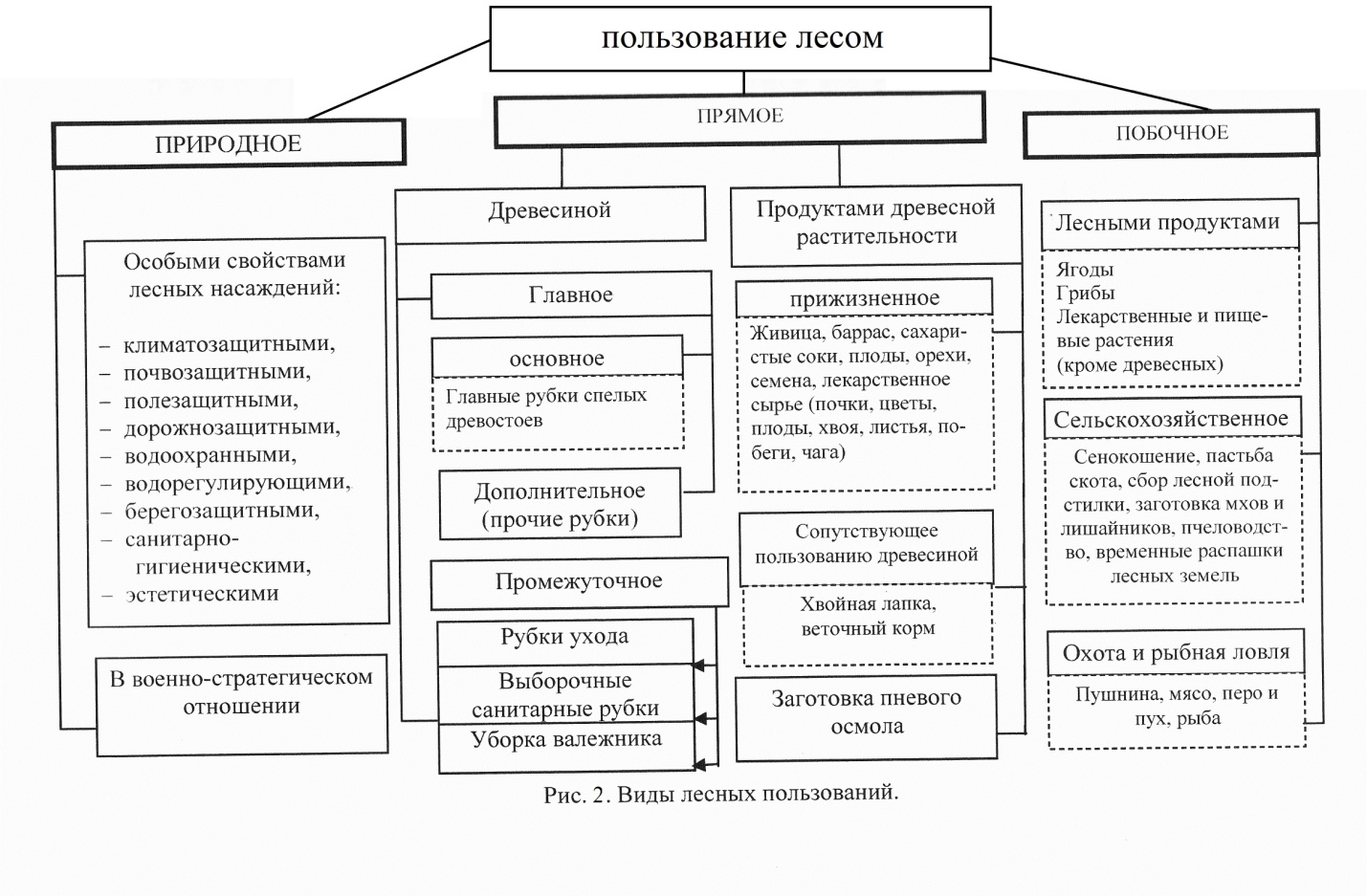 Характеристика земель лесного фонда в РФ - student2.ru