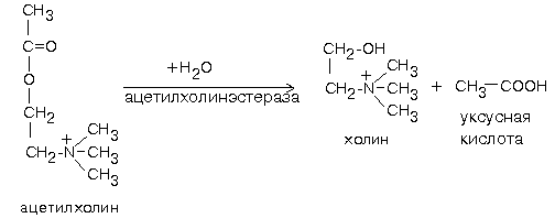 Химическая классификация нейромедиаторов - student2.ru