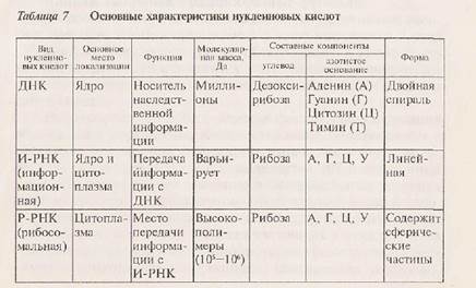 Химический состав и строение - student2.ru