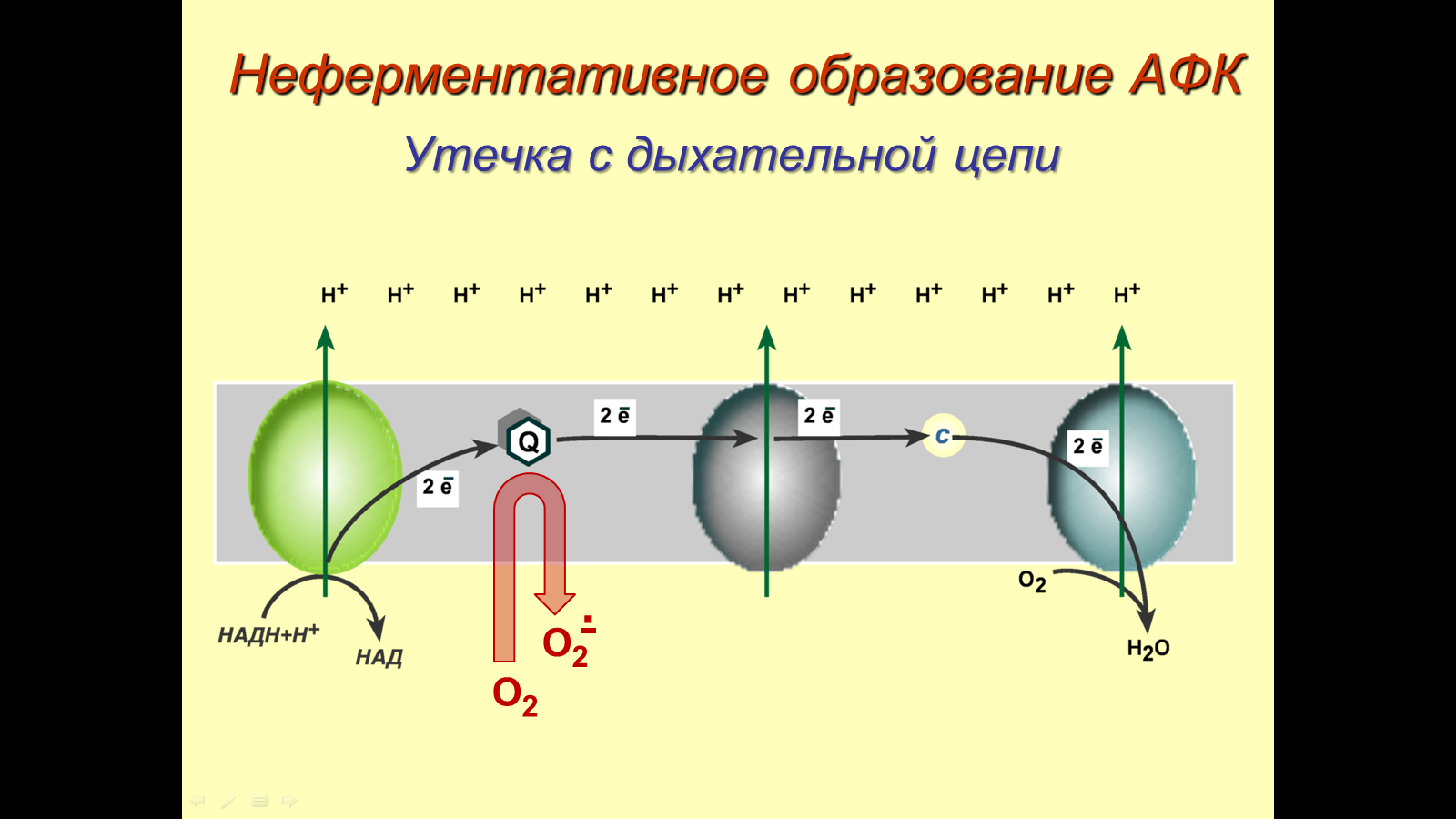 кислот. отметьте значение реакций дегидрирования и реакции - student2.ru