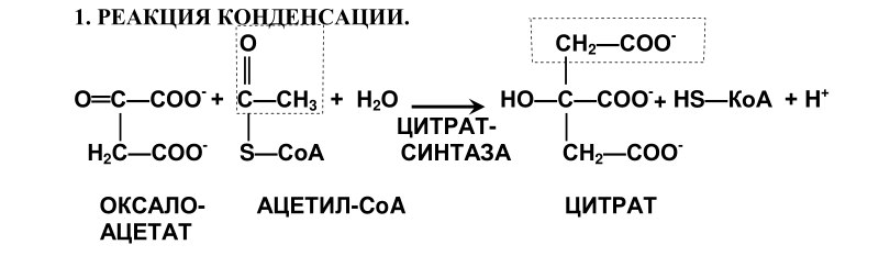 кислот. отметьте значение реакций дегидрирования и реакции - student2.ru