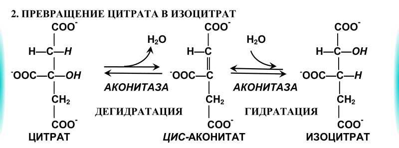 кислот. отметьте значение реакций дегидрирования и реакции - student2.ru