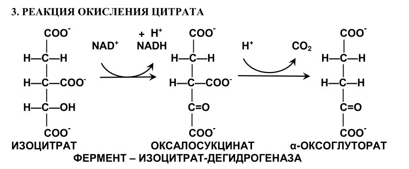 кислот. отметьте значение реакций дегидрирования и реакции - student2.ru