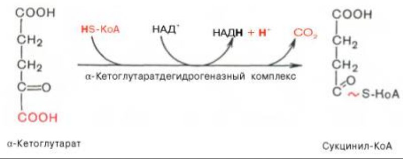 кислот. отметьте значение реакций дегидрирования и реакции - student2.ru