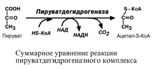 кислот. отметьте значение реакций дегидрирования и реакции - student2.ru