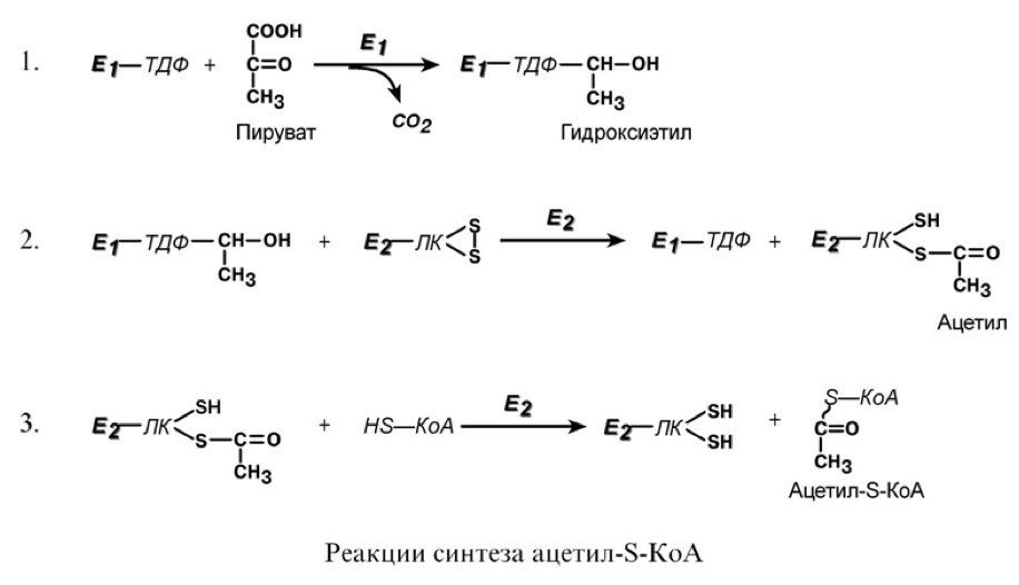 кислот. отметьте значение реакций дегидрирования и реакции - student2.ru