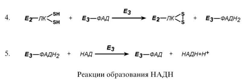 кислот. отметьте значение реакций дегидрирования и реакции - student2.ru