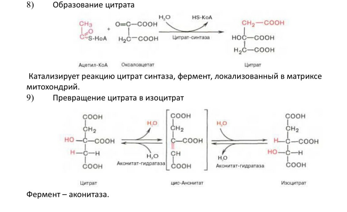 кислот. отметьте значение реакций дегидрирования и реакции - student2.ru