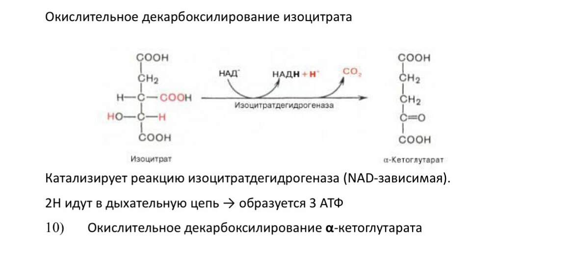 кислот. отметьте значение реакций дегидрирования и реакции - student2.ru