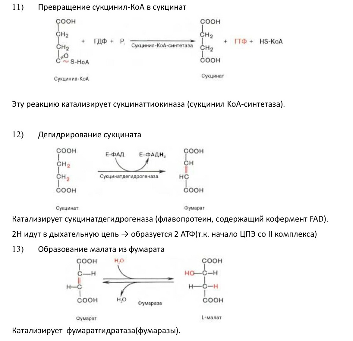 кислот. отметьте значение реакций дегидрирования и реакции - student2.ru