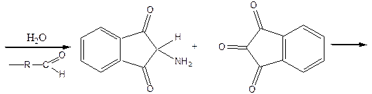 Кислота глютаминовая (Acidum glutaminicum) - student2.ru