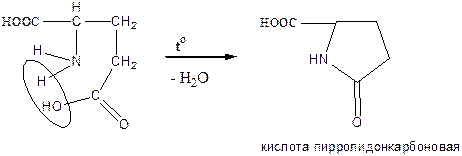 Кислота глютаминовая (Acidum glutaminicum) - student2.ru