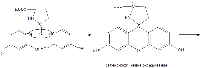 Кислота глютаминовая (Acidum glutaminicum) - student2.ru