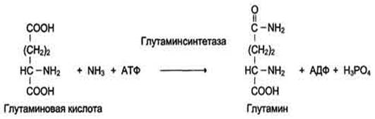 Класс – оксидоредуктазы - student2.ru