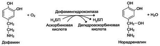 Класс – оксидоредуктазы - student2.ru