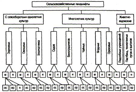 Классификация и особенности - student2.ru