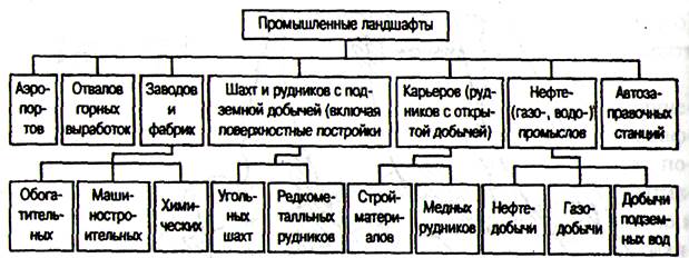 Классификация и особенности - student2.ru