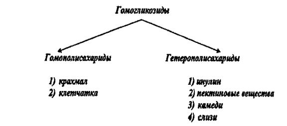 классификация полисахаридов - student2.ru