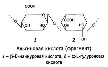 классификация полисахаридов - student2.ru