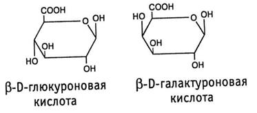 классификация полисахаридов - student2.ru