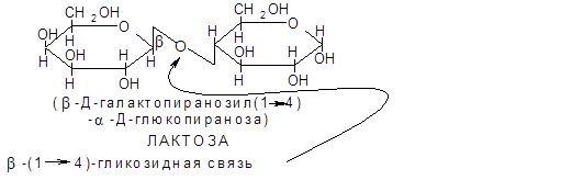 Дисахариды. Отдельные представители - student2.ru