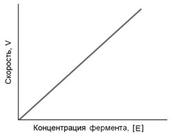 Количественное определение ферментативной активности - student2.ru