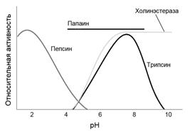 Количественное определение ферментативной активности - student2.ru