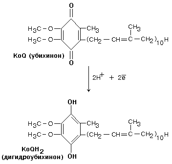 комплекс i - student2.ru