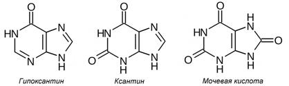 Компоненты нуклеиновых кислот - student2.ru