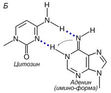 Компоненты нуклеиновых кислот - student2.ru