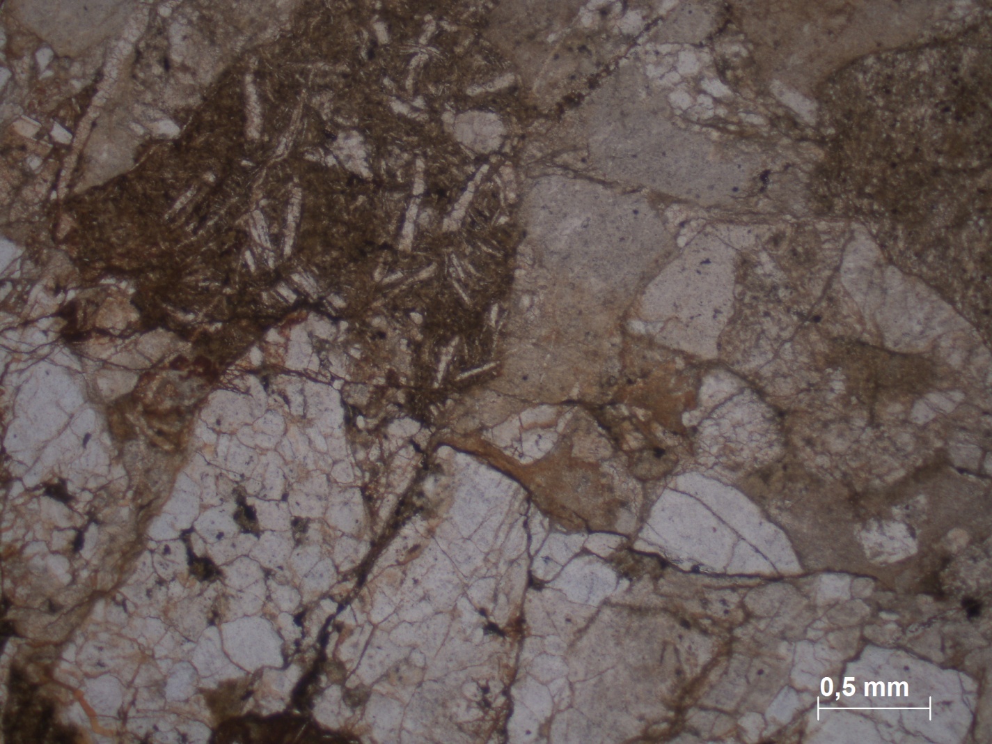 Конгломерат полимиктовый, средне-галечный с гравийно-песчаным заполнителем с поровым глинисто-гидрослюдистым, пленочным железистым цементом - student2.ru