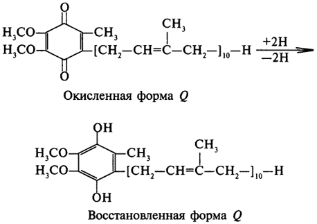 Механизм сопряжения дыхания с фосфорилированием АДФ. Характеристика АТФ – азы. Синтез АТФ - student2.ru