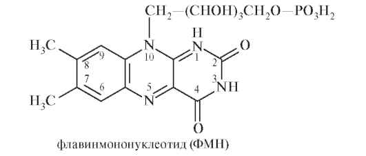 Механизмы действия и биотрансформация - student2.ru