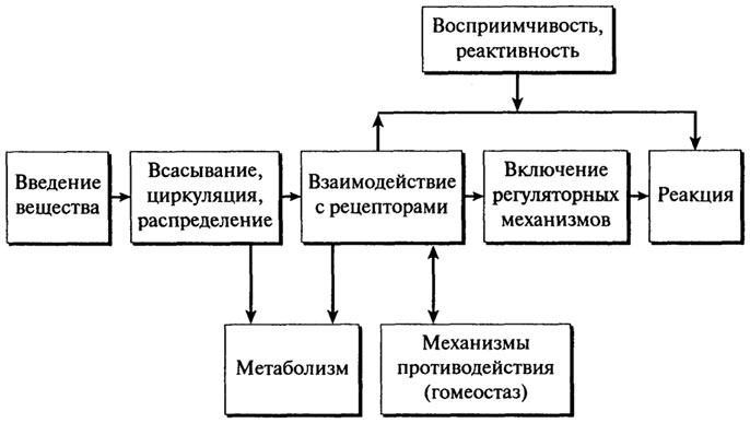 метаболизм чужеродных соединений - student2.ru