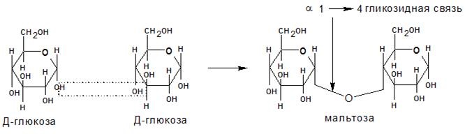 Моносахариды: физические и химические свойства - student2.ru